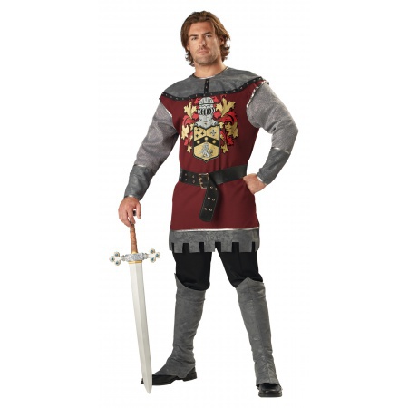 Adult Knight Costume image