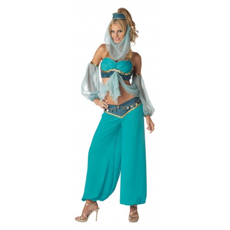 Womens Belly Dancer Costume image