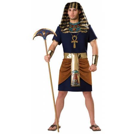 Egyptian Pharaoh Costume image
