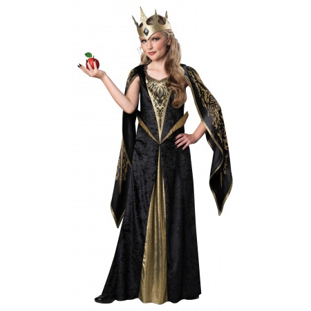 Medieval Queen Dress image