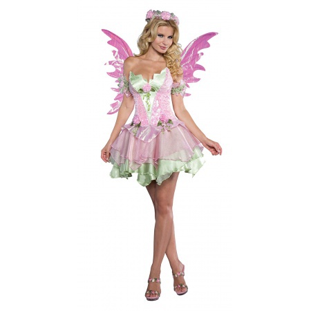 Sexy Fairy Costume image