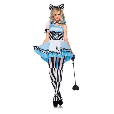 Alice In Wonderland Costume image
