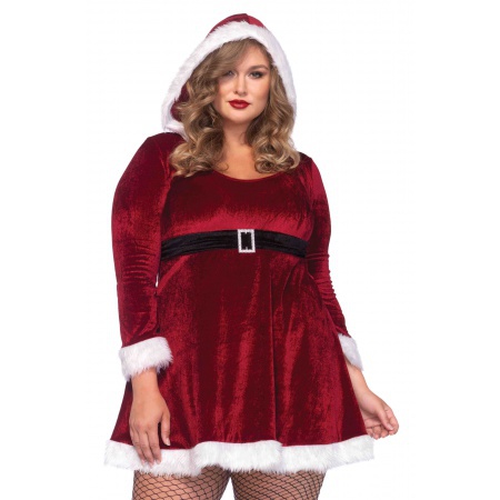 Plus Size Mrs Santa Claus Costume image