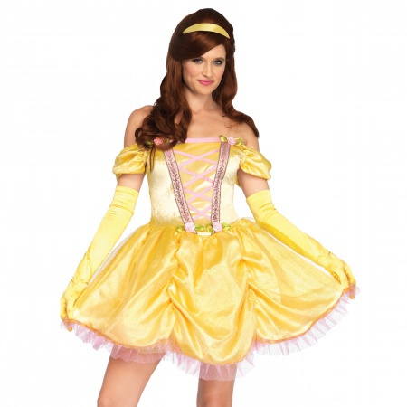 Beauty And The Beast Costume image