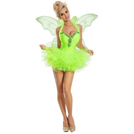 Fairy Costume Womens image