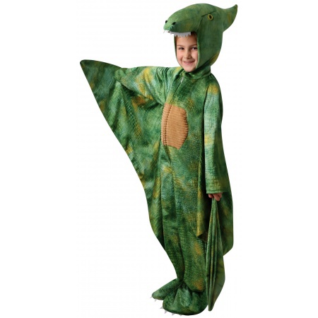 Pterodactyl Costume image