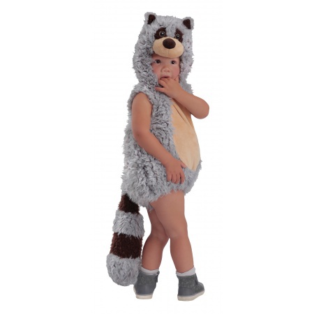Baby Raccoon Costume image