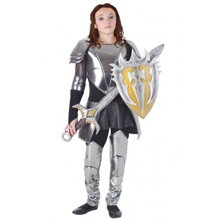 Snow White And The Huntsman Costume image
