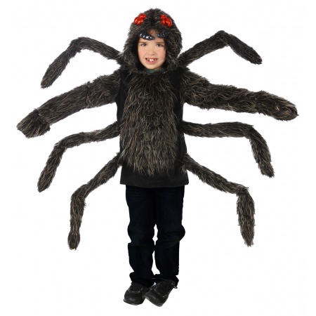 Boys Spider Costume image
