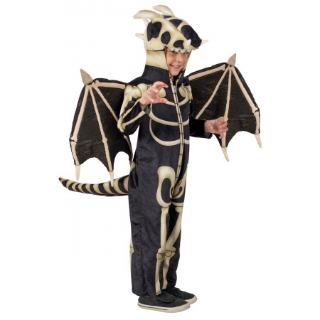 Boys Dragon Costume image