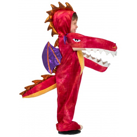 Dragon Costume Baby image