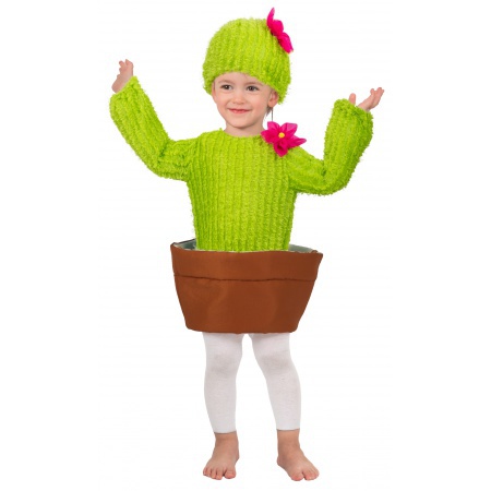 Cactus Costume image