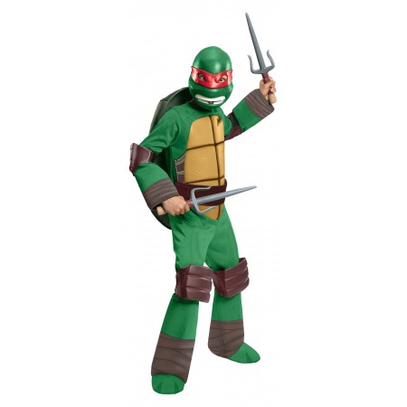 Raphael Turtle Costume image