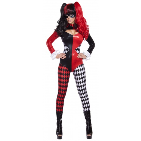Sexy Harley Quinn Costume image