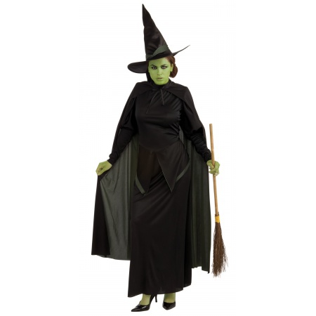 Wicked Witch Of The West Costume Black & Green image