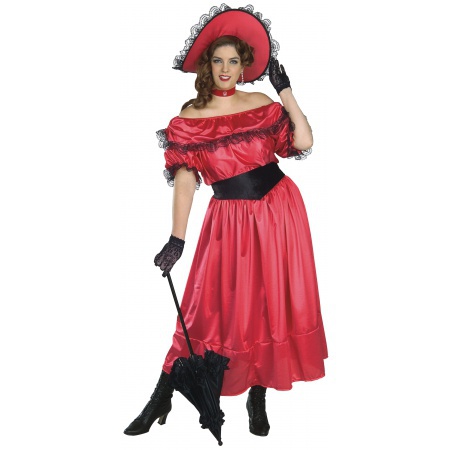 Southern Belle Costume image