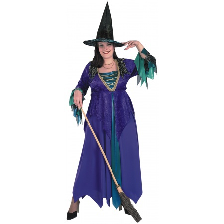 Plus Size Witch Costume image