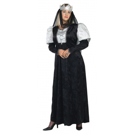 Renaissance Lady Costume image
