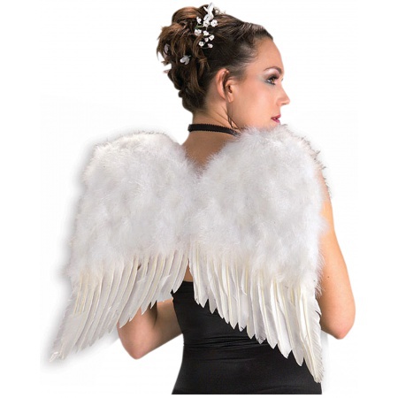 Angel Wings Feather image