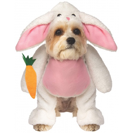 Bunny Costume Dog image