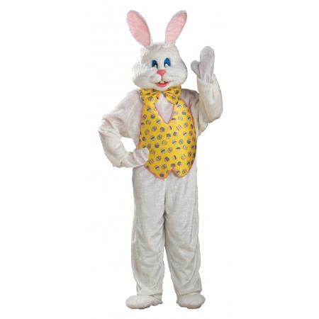 Easter Bunny Costume image