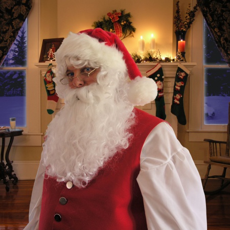 Santa Wig And Beard Set image