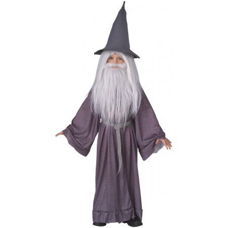 Gandalf The Grey Costume image