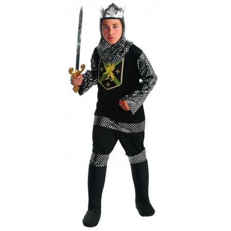 Kids Medieval King Costume image