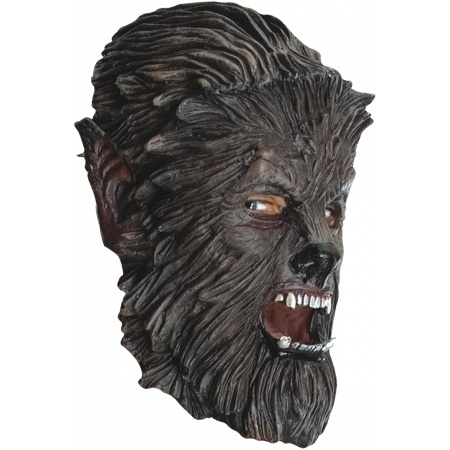 Wolfman Mask For Kids image