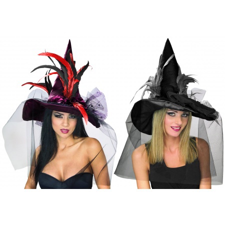 Feather Witch Hat  image