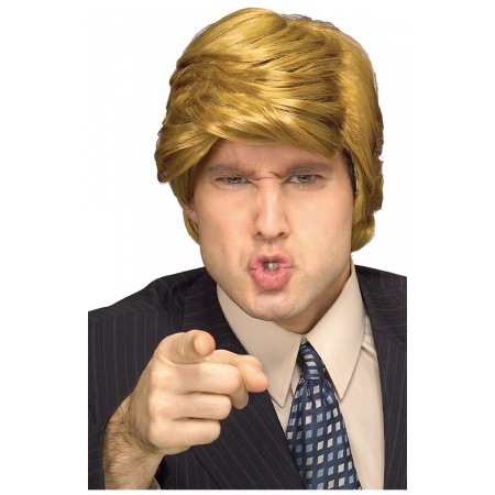 Donald Trump Wig image