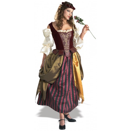 Renaissance Maiden Costume image