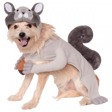 Squirrel Dog Costume  image
