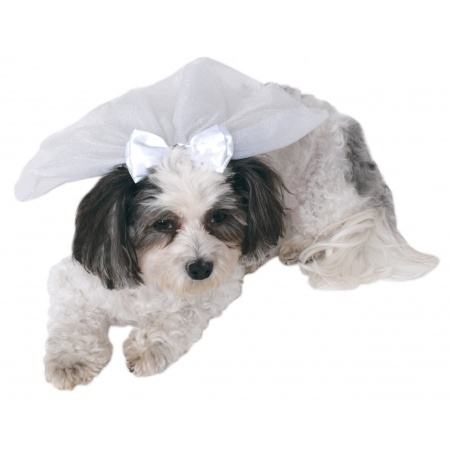 Doggie Wedding Veil image