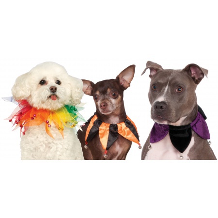 Mardis Gras Party Dog Collar image