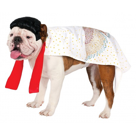 Elvis Dog Costume image