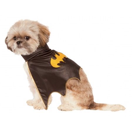 Batgirl Cape Costume image