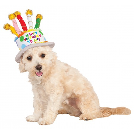 Dog Birthday Hat image
