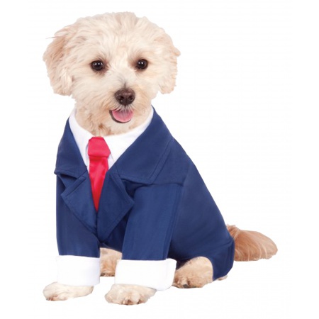 Dog Business Suit image