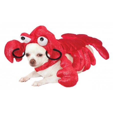 Dog Lobster Costume image
