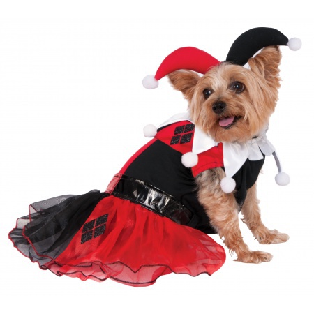 Dog Harley Quinn Costume image