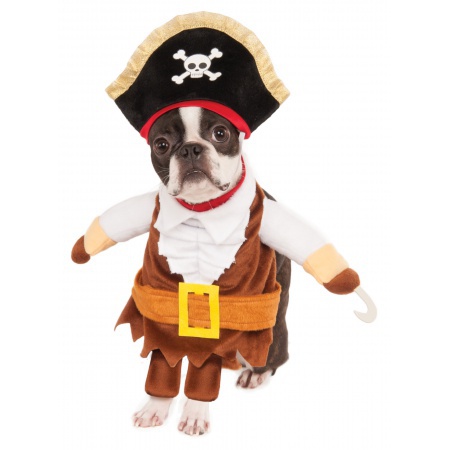 Dog Pirate Costume image