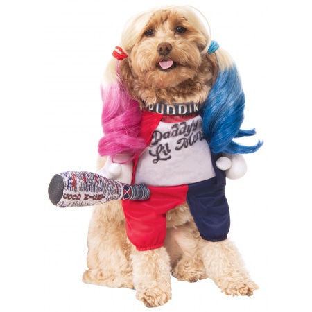 Harley Quinn Dog Costume  image