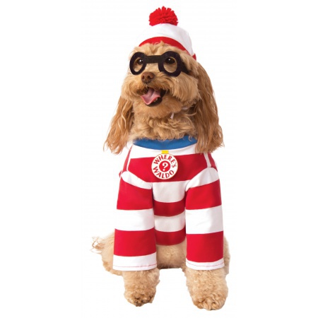 Wheres Waldo Dog Costume image