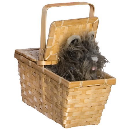 Deluxe Toto In Basket Costume Accessory Dorothy image