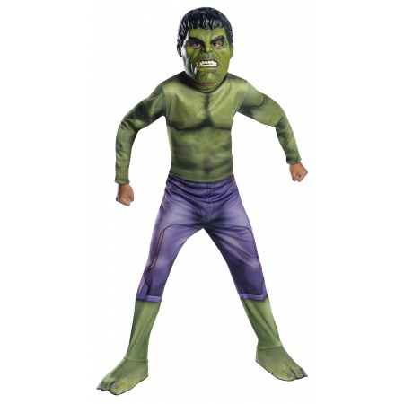 Kids Hulk Costume image