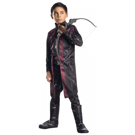 Hawkeye Costume For Kids image