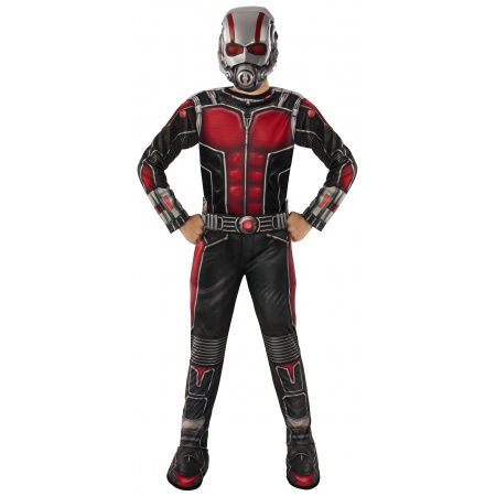 Kids Antman Costume image