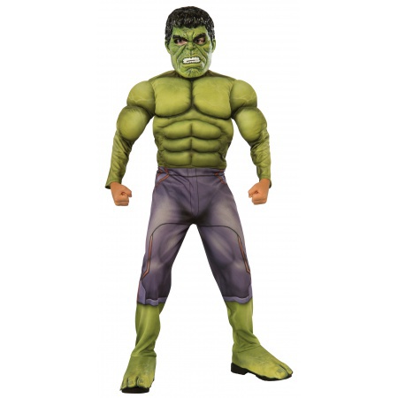 Marvel Avengers Hulk Costume Kids image