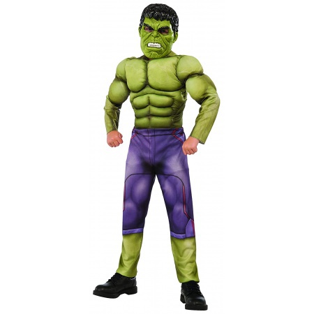 Boys Hulk Costume image